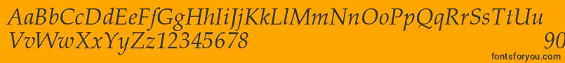 PalacioNormalItalic Font – Black Fonts on Orange Background