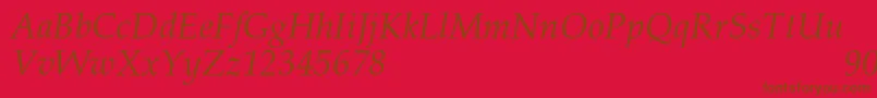 PalacioNormalItalic Font – Brown Fonts on Red Background