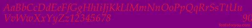 PalacioNormalItalic Font – Red Fonts on Purple Background