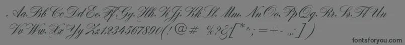 HogarthScript-Schriftart – Schwarze Schriften auf grauem Hintergrund