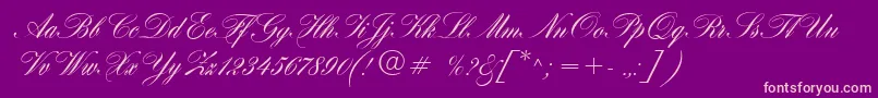 HogarthScript Font – Pink Fonts on Purple Background