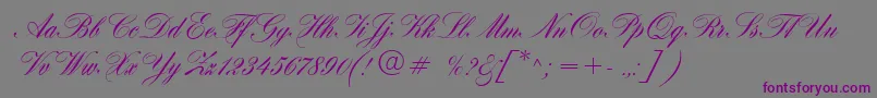 HogarthScript-Schriftart – Violette Schriften auf grauem Hintergrund