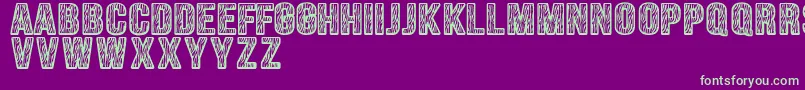 Zebraliner Font – Green Fonts on Purple Background