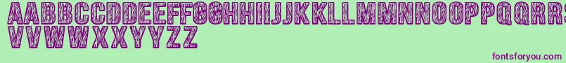 Zebraliner Font – Purple Fonts on Green Background