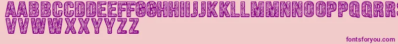 Zebraliner Font – Purple Fonts on Pink Background