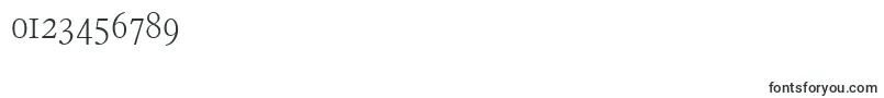 FranciscoserialXlightRegular Font – Fonts for Numbers and Digits