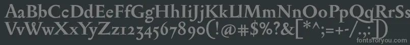 フォントSerapionosfBold – 黒い背景に灰色の文字