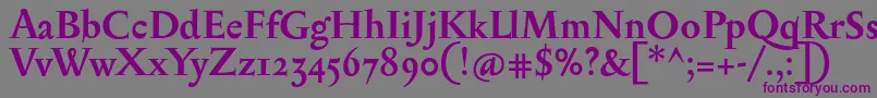 SerapionosfBold Font – Purple Fonts on Gray Background