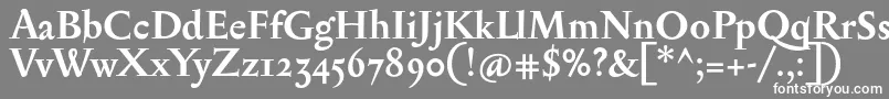 フォントSerapionosfBold – 灰色の背景に白い文字