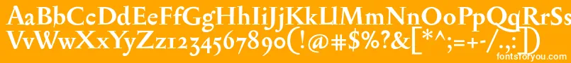 SerapionosfBold Font – White Fonts on Orange Background