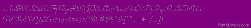 フォントParadisn – 紫の背景に灰色の文字