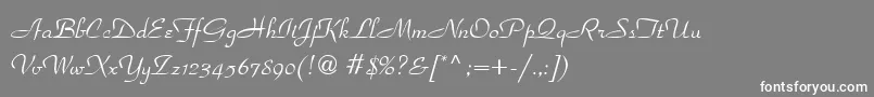 フォントParadisn – 灰色の背景に白い文字