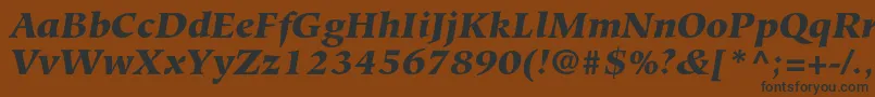 HiroshigestdBlackitalic Font – Black Fonts on Brown Background