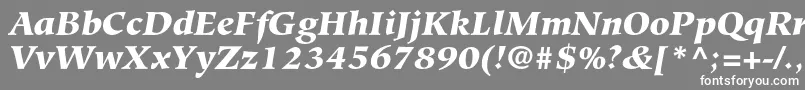 Шрифт HiroshigestdBlackitalic – белые шрифты на сером фоне