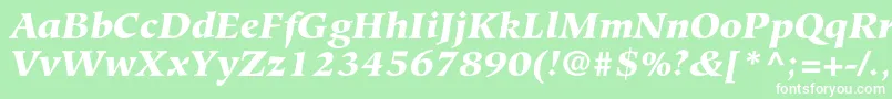 フォントHiroshigestdBlackitalic – 緑の背景に白い文字