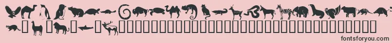 More about KrMenagerie Font KrMenagerie Font – Black Fonts on Pink Background
