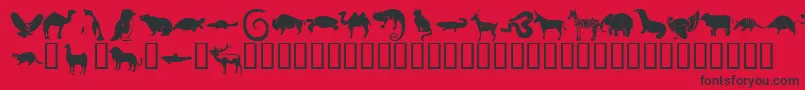 KrMenagerie Font – Black Fonts on Red Background