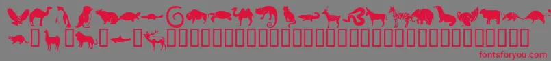 フォントKrMenagerie – 赤い文字の灰色の背景