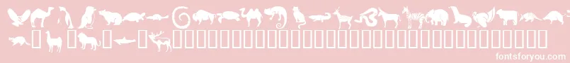 KrMenagerie Font – White Fonts on Pink Background