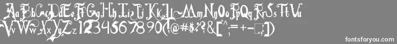フォントFiddumsFamily – 灰色の背景に白い文字