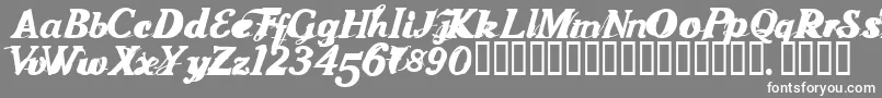 Foodshow Font – White Fonts on Gray Background