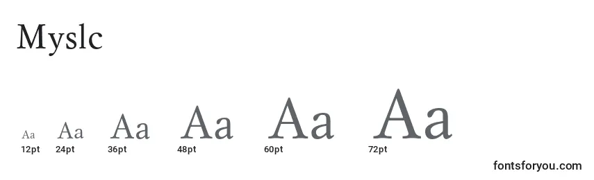 Myslc Font Sizes