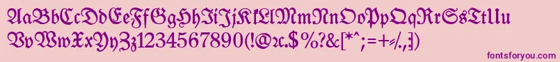 LeipzigFrakturBoldLf Font – Purple Fonts on Pink Background