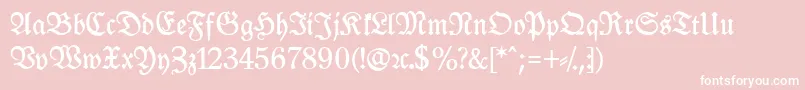 LeipzigFrakturBoldLf Font – White Fonts on Pink Background