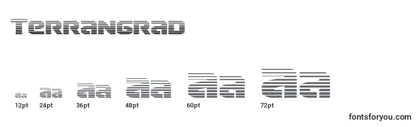Размеры шрифта Terrangrad