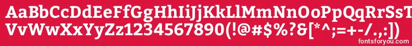 BitterBold Font – White Fonts on Red Background