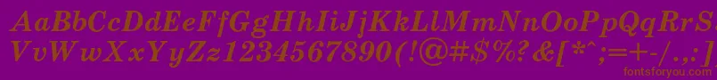 SchoolbookcBolditalic Font – Brown Fonts on Purple Background