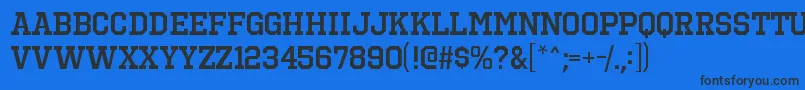 OctinsportssbRegular Font – Black Fonts on Blue Background