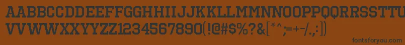 OctinsportssbRegular Font – Black Fonts on Brown Background