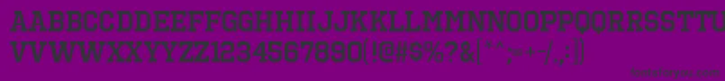 OctinsportssbRegular Font – Black Fonts on Purple Background