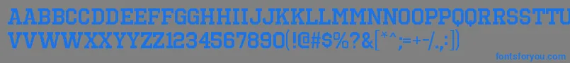 OctinsportssbRegular Font – Blue Fonts on Gray Background