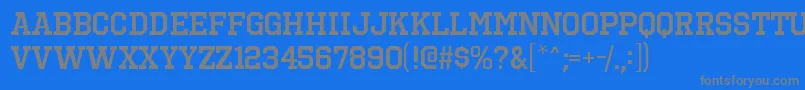 OctinsportssbRegular Font – Gray Fonts on Blue Background