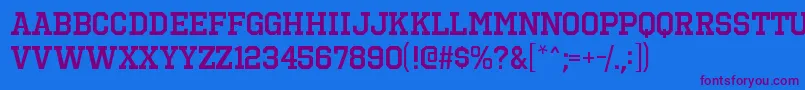 OctinsportssbRegular Font – Purple Fonts on Blue Background