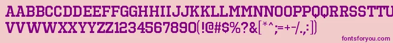 OctinsportssbRegular Font – Purple Fonts on Pink Background