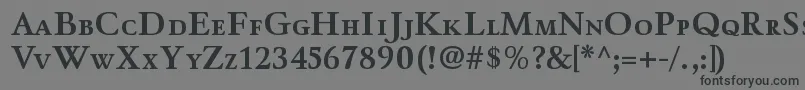 WinthorpescBold Font – Black Fonts on Gray Background