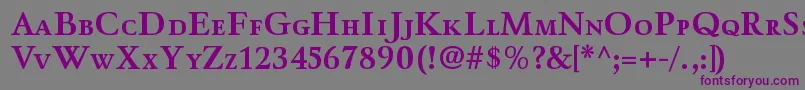WinthorpescBold-fontti – violetit fontit harmaalla taustalla