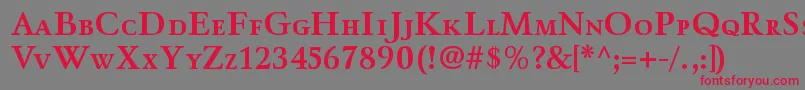 WinthorpescBold Font – Red Fonts on Gray Background