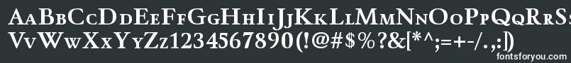 WinthorpescBold Font – White Fonts on Black Background