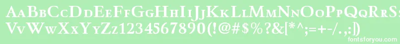 WinthorpescBold Font – White Fonts on Green Background