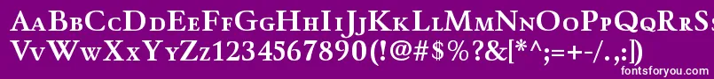フォントWinthorpescBold – 紫の背景に白い文字