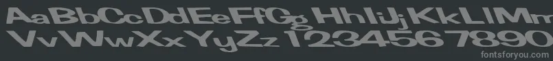 FertilemindplusRegularTtext Font – Gray Fonts on Black Background