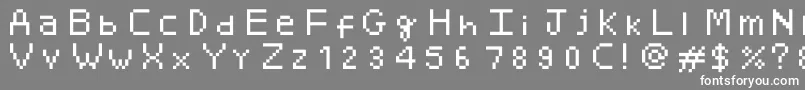 Minami Font – White Fonts on Gray Background