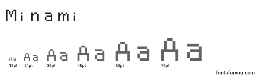 Minami Font Sizes