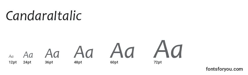 Размеры шрифта CandaraItalic
