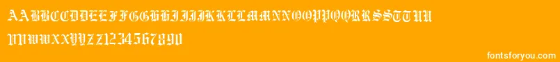 フォントVorname – オレンジの背景に白い文字