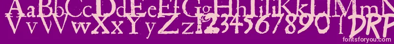 ShakespeareFirstFolioFont Font – Pink Fonts on Purple Background